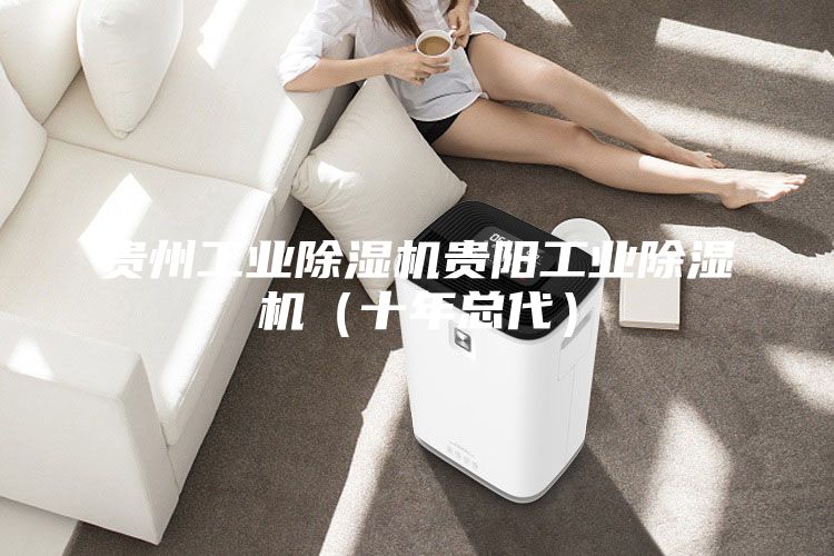 貴州工業(yè)除濕機貴陽工業(yè)除濕機(十年總代)