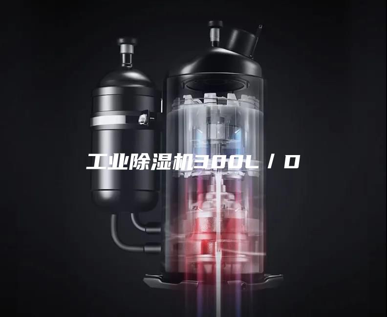 工業(yè)除濕機300L/D