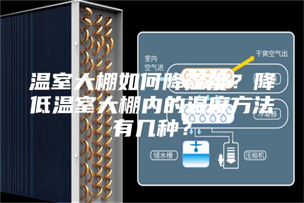 溫室大棚如何降濕度？降低溫室大棚內(nèi)的濕度方法有幾種？