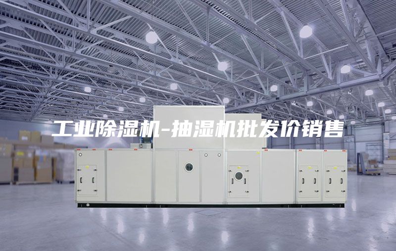 工業(yè)除濕機(jī)-抽濕機(jī)批發(fā)價(jià)銷售