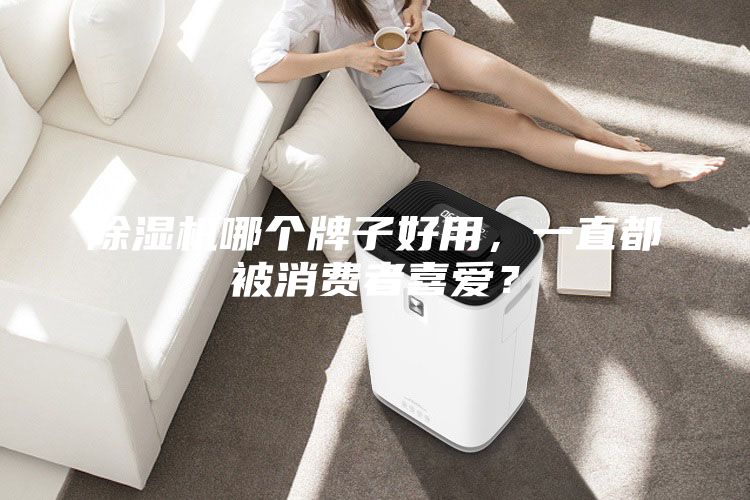 除濕機(jī)哪個(gè)牌子好用，一直都被消費(fèi)者喜愛？