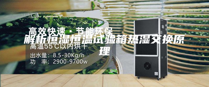 解析恒濕恒溫試驗(yàn)箱熱濕交換原理