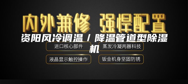 資陽風(fēng)冷調(diào)溫/降溫管道型除濕機(jī)
