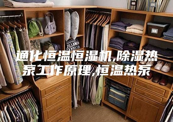 通化恒溫恒濕機(jī),除濕熱泵工作原理,恒溫?zé)岜?/></p>
                            <p style=