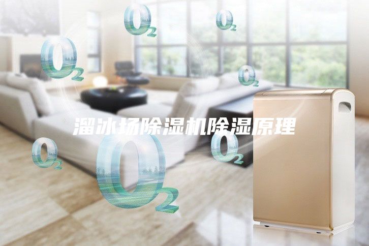溜冰場(chǎng)除濕機(jī)除濕原理