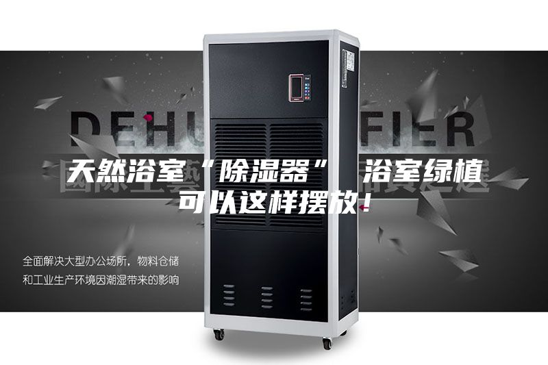 天然浴室“除濕器” 浴室綠植可以這樣擺放！