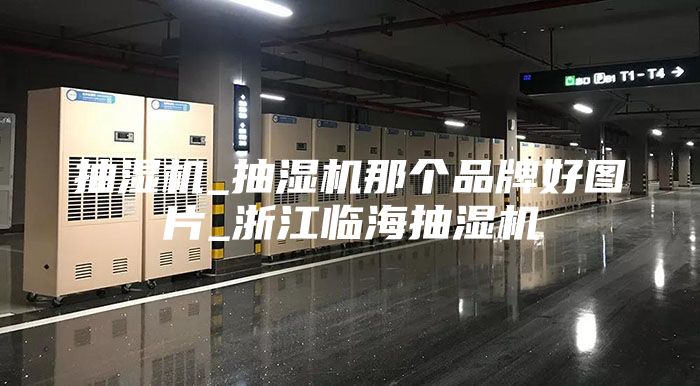 抽濕機(jī)_抽濕機(jī)那個(gè)品牌好圖片_浙江臨海抽濕機(jī)