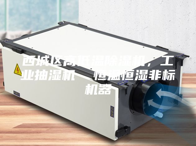 西城區(qū)高低溫除濕機(jī)，工業(yè)抽濕機(jī)  恒溫恒濕非標(biāo)機(jī)器