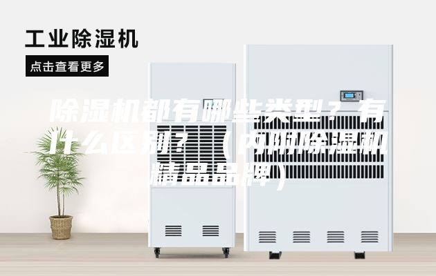 除濕機都有哪些類型？有什么區(qū)別？（內(nèi)附除濕機精品品牌）