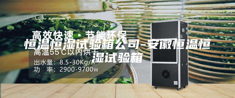 恒溫恒濕試驗(yàn)箱公司-安徽恒溫恒濕試驗(yàn)箱