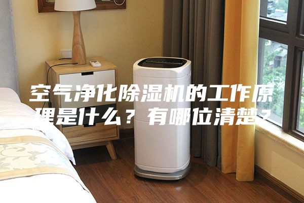 空氣凈化除濕機(jī)的工作原理是什么？有哪位清楚？