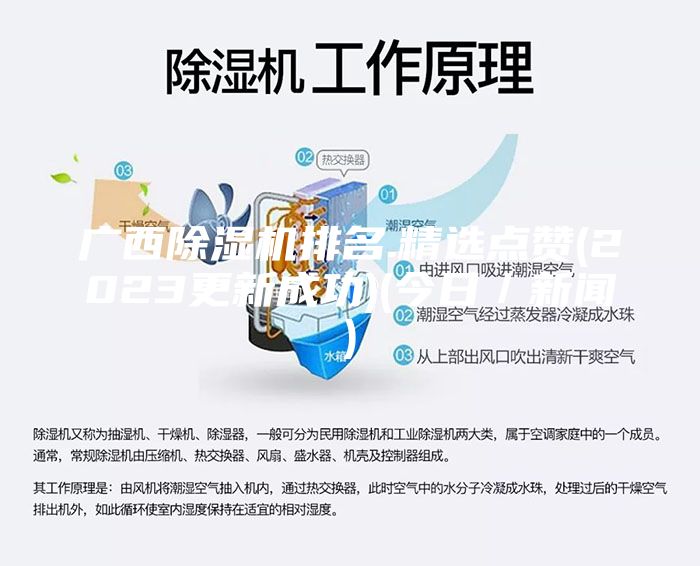 廣西除濕機(jī)排名.精選點(diǎn)贊(2023更新成功)(今日/新聞)