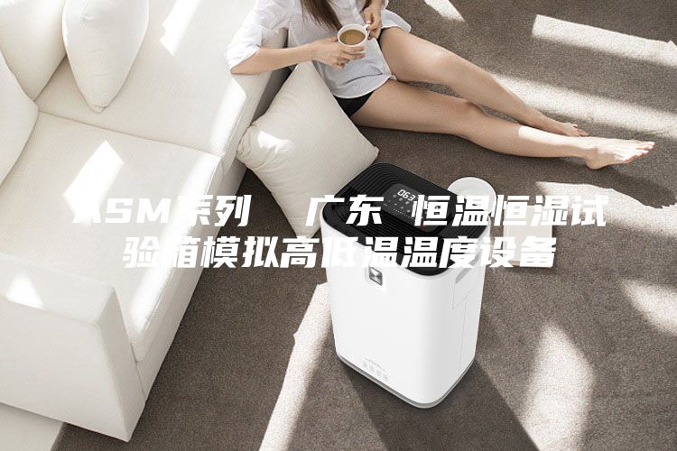 ASM系列 廣東 恒溫恒濕試驗(yàn)箱模擬高低溫溫度設(shè)備
