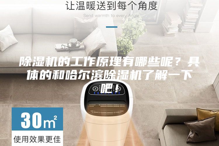 除濕機(jī)的工作原理有哪些呢？具體的和哈爾濱除濕機(jī)了解一下吧！