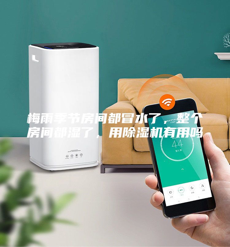 梅雨季節(jié)房間都冒水了，整個(gè)房間都濕了，用除濕機(jī)有用嗎