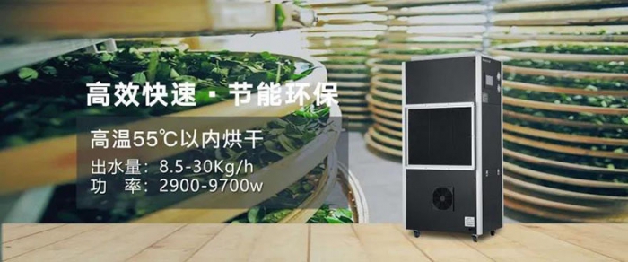 年年除濕年年濕，如何快速除濕？