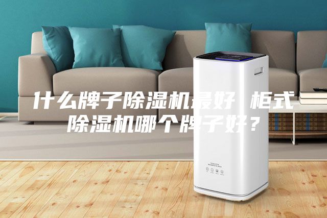 什么牌子除濕機最好 柜式除濕機哪個牌子好？