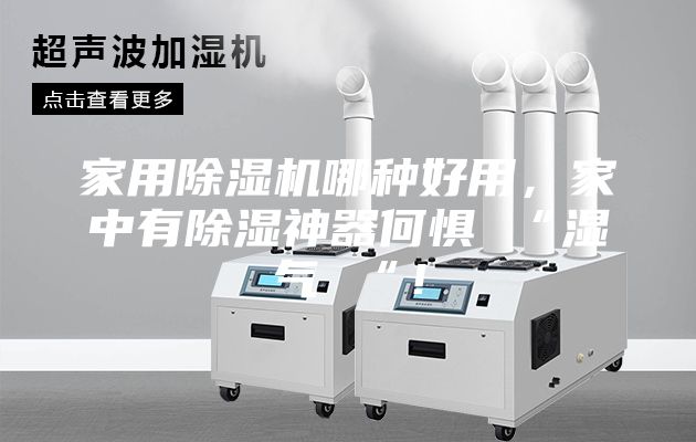 家用除濕機哪種好用，家中有除濕神器何懼 “濕氣 “！