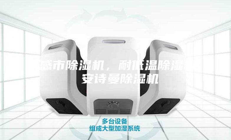 孝感市除濕機(jī)，耐低溫除濕機(jī)  安詩(shī)曼除濕機(jī)