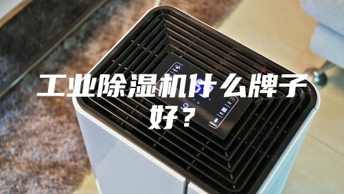 工業(yè)除濕機(jī)什么牌子好？