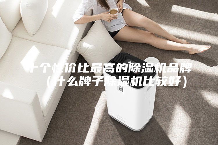 十個性價(jià)比最高的除濕機(jī)品牌（什么牌子除濕機(jī)比較好）