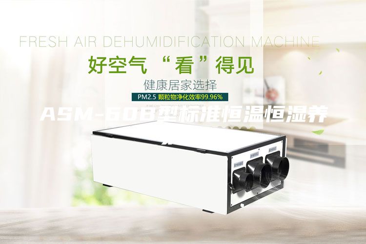 ASM-60B型標(biāo)準(zhǔn)恒溫恒濕養(yǎng)護(hù)箱