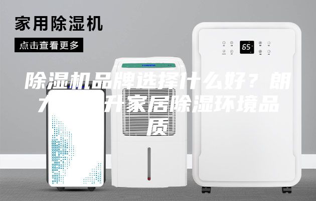 除濕機(jī)品牌選擇什么好？朗力信提升家居除濕環(huán)境品質(zhì)