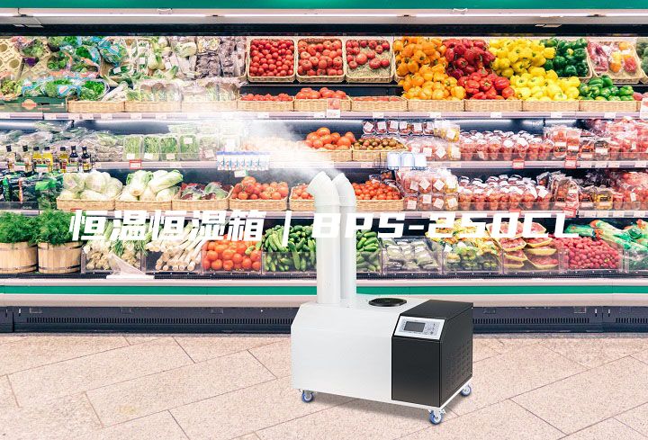 恒溫恒濕箱|BPS-250CL