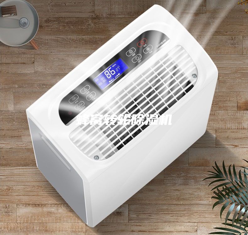 蜂窩轉(zhuǎn)輪除濕機