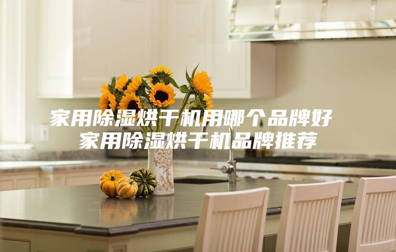 家用除濕烘干機(jī)用哪個(gè)品牌好 家用除濕烘干機(jī)品牌推薦