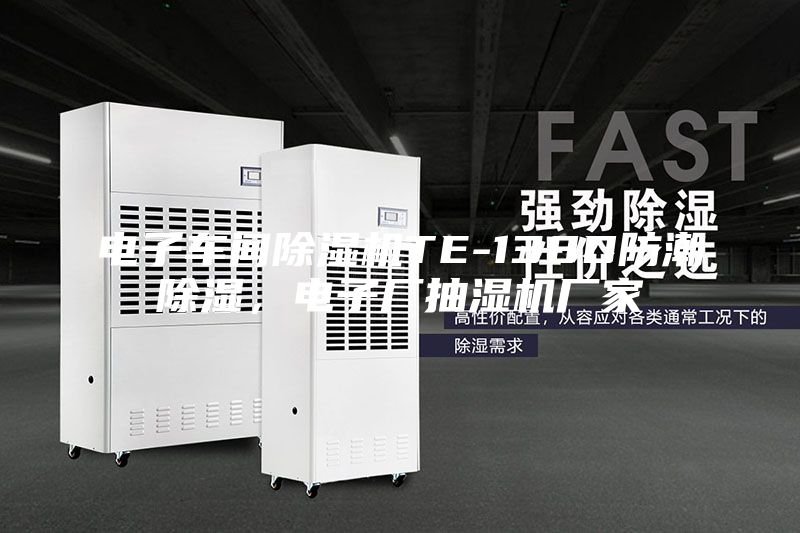 電子車間除濕機TE-138D防潮除濕，電子廠抽濕機廠家