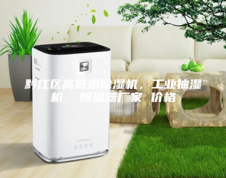 黔江區(qū)高低溫除濕機，工業(yè)抽濕機  除濕器廠家 價格