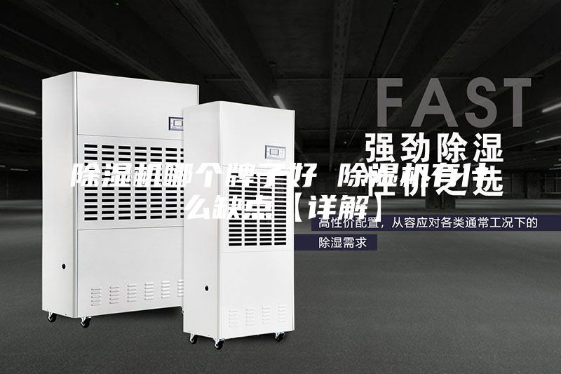 除濕機(jī)哪個(gè)牌子好 除濕機(jī)有什么缺點(diǎn)【詳解】