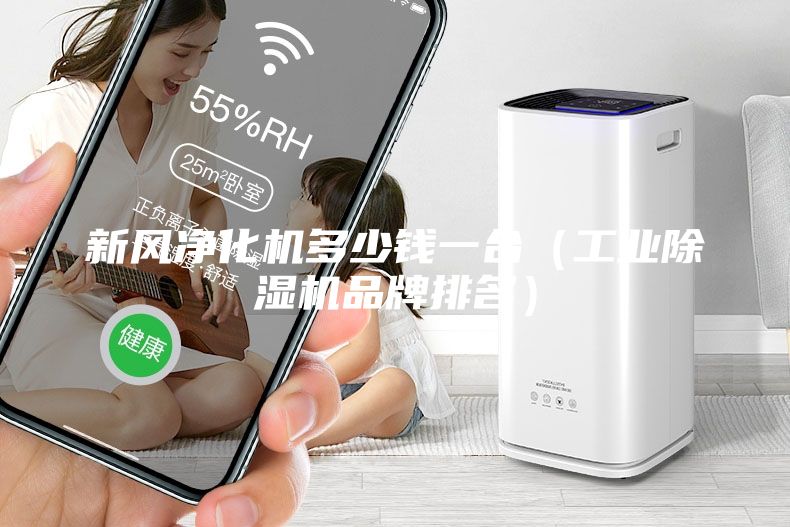 新風凈化機多少錢一臺（工業(yè)除濕機品牌排名）