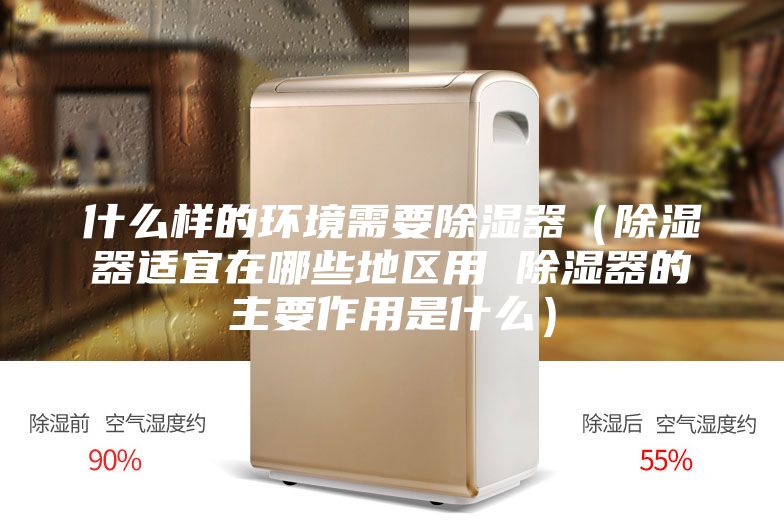 什么樣的環(huán)境需要除濕器(除濕器適宜在哪些地區(qū)用 除濕器的主要作用是什么)