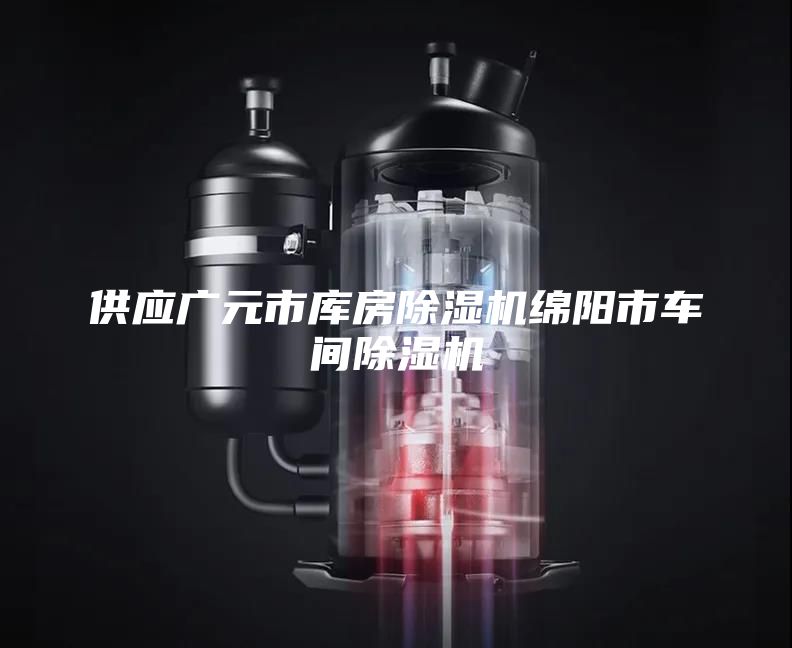 供應(yīng)廣元市庫(kù)房除濕機(jī)綿陽(yáng)市車間除濕機(jī)