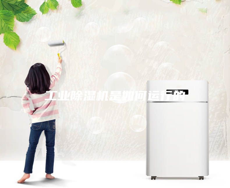 工業(yè)除濕機是如何運行的
