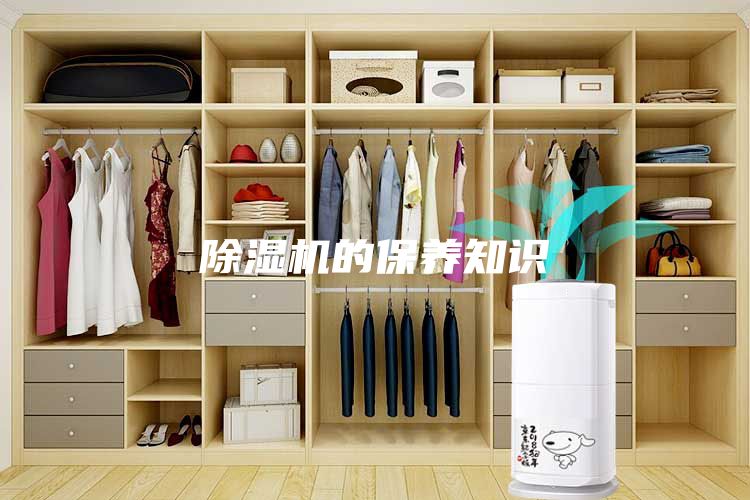 除濕機的保養(yǎng)知識