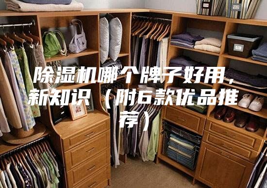 除濕機(jī)哪個(gè)牌子好用,新知識(shí)(附6款優(yōu)品推薦)