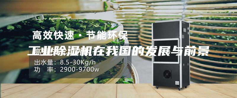 工業(yè)除濕機(jī)在我國的發(fā)展與前景