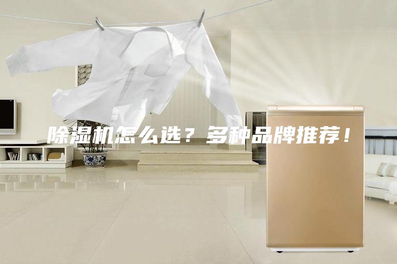 除濕機(jī)怎么選？多種品牌推薦！