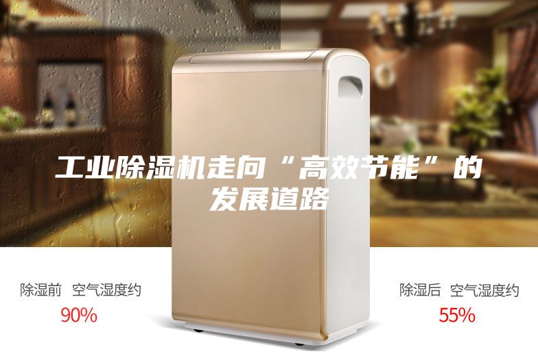 工業(yè)除濕機(jī)走向“高效節(jié)能”的發(fā)展道路
