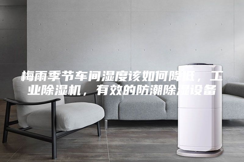 梅雨季節(jié)車間濕度該如何降低，工業(yè)除濕機，有效的防潮除濕設備