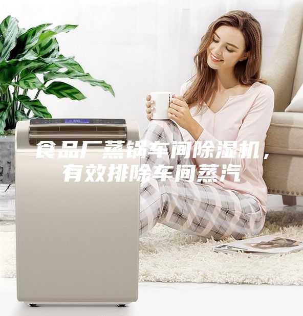 食品廠蒸鍋車間除濕機，有效排除車間蒸汽