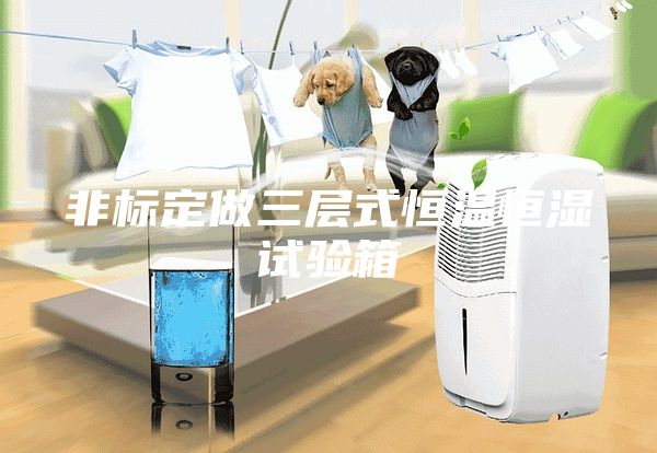 非標(biāo)定做三層式恒溫恒濕試驗箱