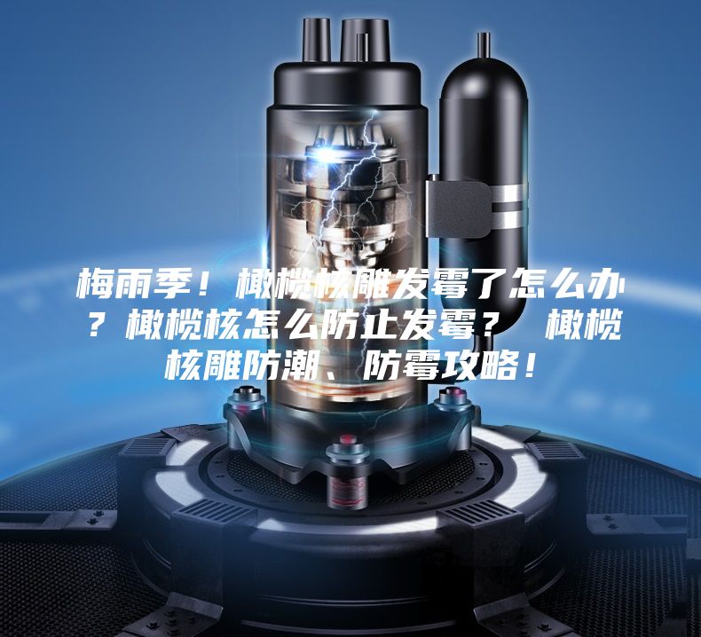 梅雨季！橄欖核雕發(fā)霉了怎么辦？橄欖核怎么防止發(fā)霉？ 橄欖核雕防潮、防霉攻略！