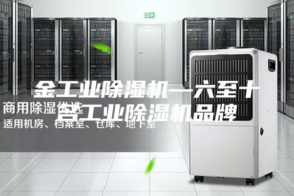 金工業(yè)除濕機—六至十名工業(yè)除濕機品牌