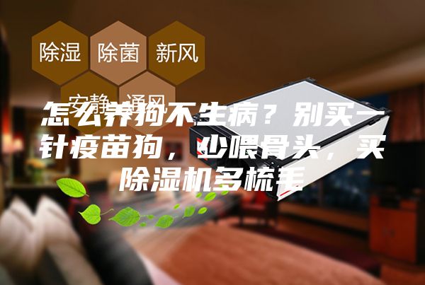 怎么養(yǎng)狗不生病？別買一針疫苗狗，少喂骨頭，買除濕機(jī)多梳毛