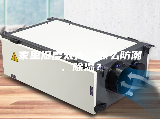 家里濕度太大，怎么防潮、除濕？