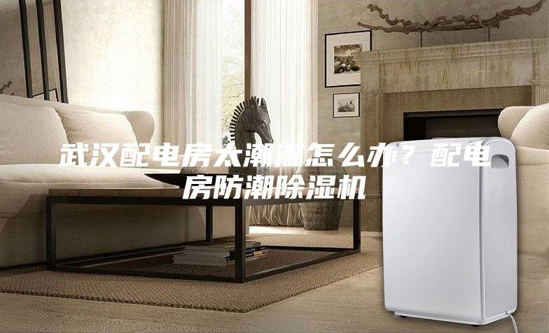武漢配電房太潮濕怎么辦？配電房防潮除濕機(jī)